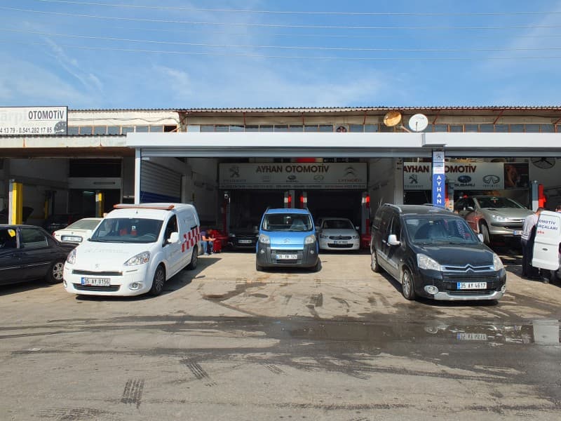 İzmir'de Pejo EGR Mekanik Temizlik
